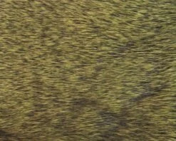Polish Quills Winter Roe Deer - Funky Fly Tying -Fishing Accessories Store Polish Quills Winter Roe Deer Dark Olive 1