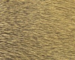 Polish Quills Winter Roe Deer - Funky Fly Tying -Fishing Accessories Store Polish Quills Winter Roe Deer Light Olive 1