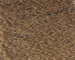 Polish Quills Winter Roe Deer - Funky Fly Tying -Fishing Accessories Store Polish Quills Winter Roe Deer Natural 1