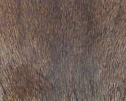 Polish Quills Winter Roe Deer - Funky Fly Tying -Fishing Accessories Store Polish Quills Winter Roe Deer Rusty Brown