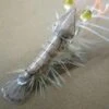 Funky Shrimp Foils - Funky Fly Tying -Fishing Accessories Store Shrimp Foils