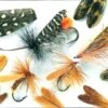 Veniard Natural Feather Caddis Wings - Funky Fly Tying -Fishing Accessories Store Veniard Natural Feather Caddis Wings 1