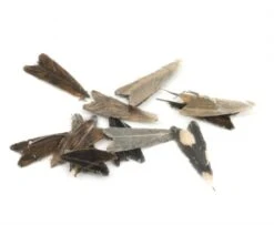 Veniard Natural Feather Caddis Wings - Funky Fly Tying -Fishing Accessories Store Veniard Natural Feather Caddis Wings 2 1