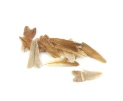 Veniard Natural Feather Caddis Wings - Funky Fly Tying -Fishing Accessories Store Veniard Natural Feather Caddis Wings 3