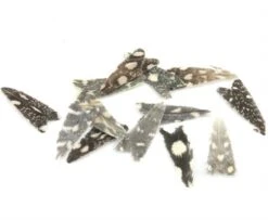 Veniard Natural Feather Caddis Wings - Funky Fly Tying -Fishing Accessories Store Veniard Natural Feather Caddis Wings Grey Speckled