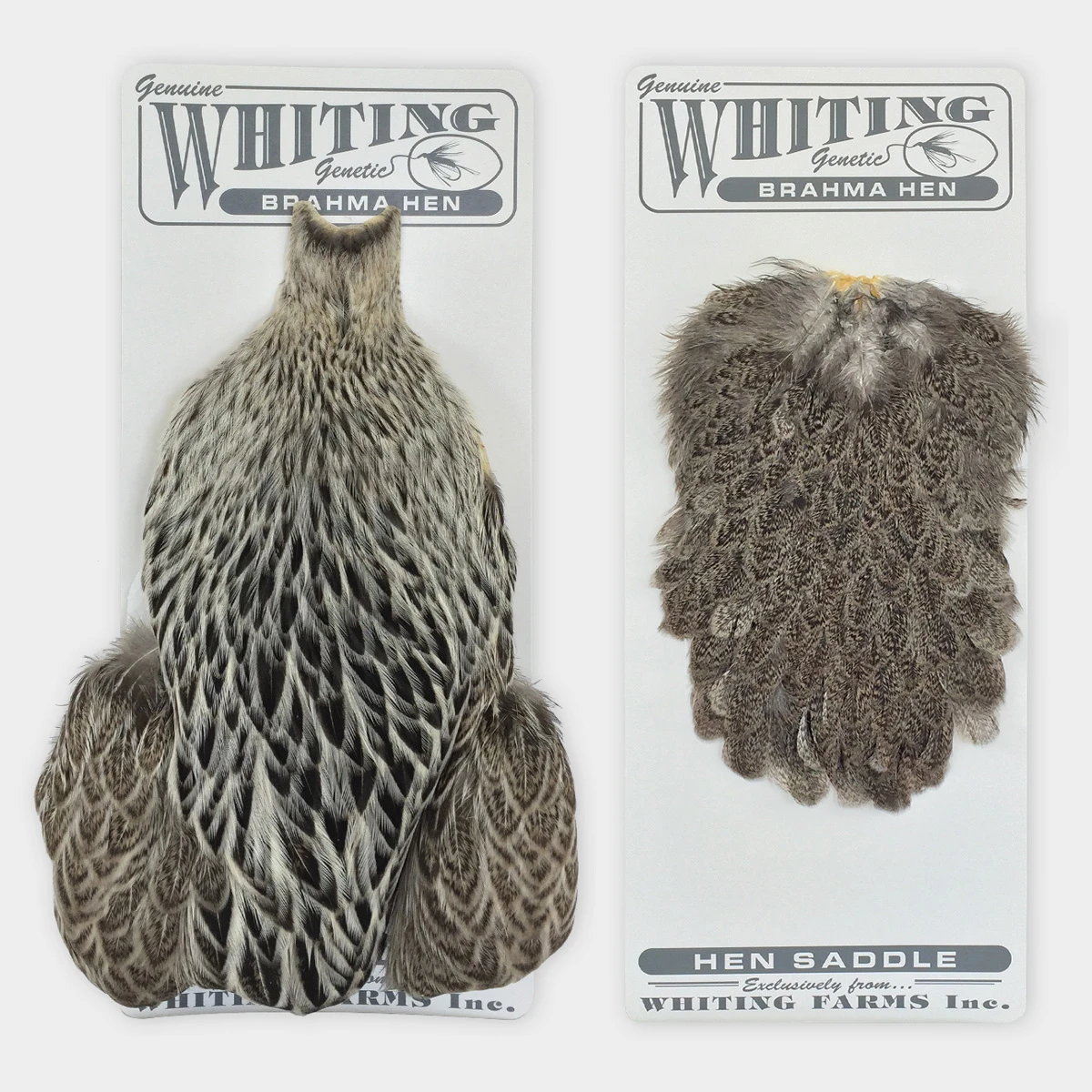 Whiting Brahma Hen Cape - Funky Fly Tying 3 Whiting Brahma Hen Cape - Funky Fly Tying