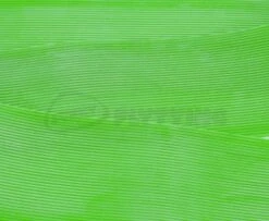 Wapsi Round Rubber - Funky Fly Tying 40 Wapsi Round Rubber - Funky Fly Tying -Fishing Accessories Store Wapsi Round Rubber Fl Green