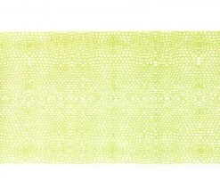 Wapsi Thin Skin Gator Pattern - Funky Fly Tying -Fishing Accessories Store Wapsi Thin Skin Gator Pattern Olive Clear