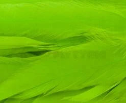 Whiting 1/4oz Loose Pack Of Schlappen - Funky Fly Tying -Fishing Accessories Store Whiting 1 4oz Loose Pack of Schlappen Dyed FL. Green Chartreuse 1