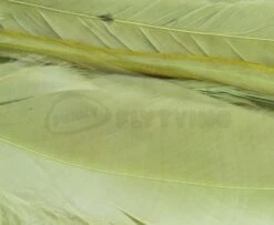 Whiting 1/4oz Loose Pack Of Schlappen - Funky Fly Tying -Fishing Accessories Store Whiting 1 4oz Loose Pack of Schlappen Dyed Olive 1