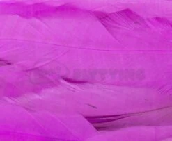 Whiting 1/4oz Loose Pack Of Schlappen - Funky Fly Tying -Fishing Accessories Store Whiting 1 4oz Loose Pack of Schlappen Dyed Pink 1 1