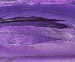 Whiting 1/4oz Loose Pack Of Schlappen - Funky Fly Tying -Fishing Accessories Store Whiting 1 4oz Loose Pack of Schlappen Dyed Purple 1 1