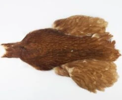 Whiting 4 B's Hen Cape - Funky Fly Tying -Fishing Accessories Store Whiting 4B Hen Neck Capes Brown 1