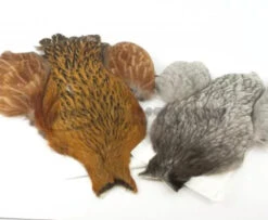 Whiting 4 B's Hen Cape - Funky Fly Tying -Fishing Accessories Store Whiting 4B Hen Neck Capes Dun Splash