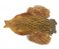 Whiting 4 B's Hen Cape - Funky Fly Tying -Fishing Accessories Store Whiting 4B Hen Neck Capes Greenwells