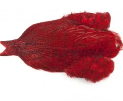 Whiting 4 B's Rooster Cape - Funky Fly Tying 21 Whiting 4 B's Rooster Cape - Funky Fly Tying -Fishing Accessories Store Whiting 4B Rooster Neck Cape Dyed Grizzly Red 1 1