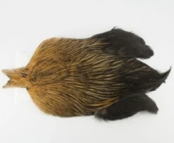 Whiting 4 B's Rooster Cape - Funky Fly Tying 31 Whiting 4 B's Rooster Cape - Funky Fly Tying -Fishing Accessories Store Whiting 4B Rooster Neck Cape Greenwells 1 1