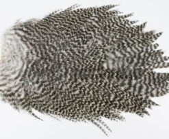 Whiting 4 B's Rooster Saddle - Funky Fly Tying -Fishing Accessories Store Whiting 4B Rooster Saddle Capes Grizzle