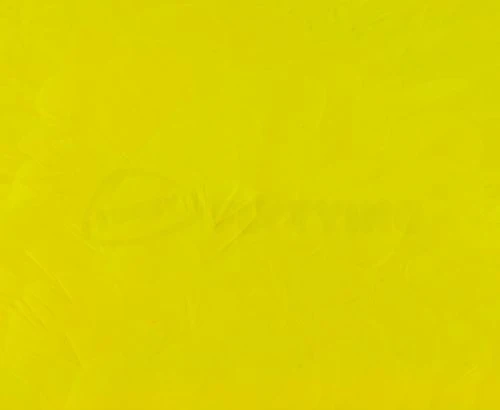 Whiting American Hen Saddles - Funky Fly Tying 10 Whiting American Hen Saddles - Funky Fly Tying - Image 8