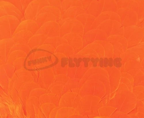 Whiting American Hen Saddles - Funky Fly Tying 5 Whiting American Hen Saddles - Funky Fly Tying - Image 3