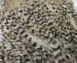 Whiting American Streamer Packs - Funky Fly Tying -Fishing Accessories Store Whiting American Streamer Packs 10 1