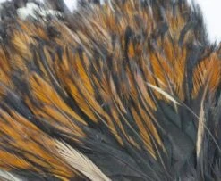 Whiting American Streamer Packs - Funky Fly Tying -Fishing Accessories Store Whiting American Streamer Packs 2 1