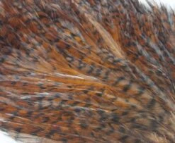 Whiting American Streamer Packs - Funky Fly Tying -Fishing Accessories Store Whiting American Streamer Packs 3 1