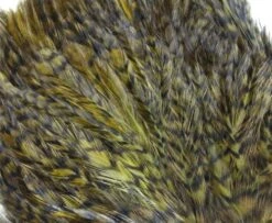 Whiting American Streamer Packs - Funky Fly Tying -Fishing Accessories Store Whiting American Streamer Packs 4 1