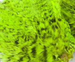 Whiting American Streamer Packs - Funky Fly Tying -Fishing Accessories Store Whiting American Streamer Packs 5 1