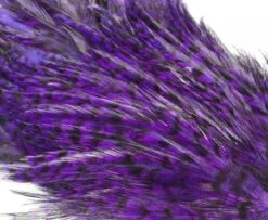 Whiting American Streamer Packs - Funky Fly Tying -Fishing Accessories Store Whiting American Streamer Packs 8 1