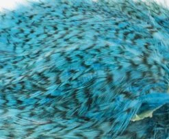 Whiting American Streamer Packs - Funky Fly Tying -Fishing Accessories Store Whiting American Streamer Packs 9 1 1