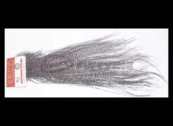 Whiting Bronze Grade Midge 1/2 Saddle - Funky Fly Tying