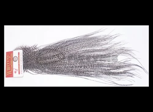 Whiting Bronze Grade Midge 1/2 Saddle - Funky Fly Tying 3 Whiting Bronze Grade Midge 1/2 Saddle - Funky Fly Tying