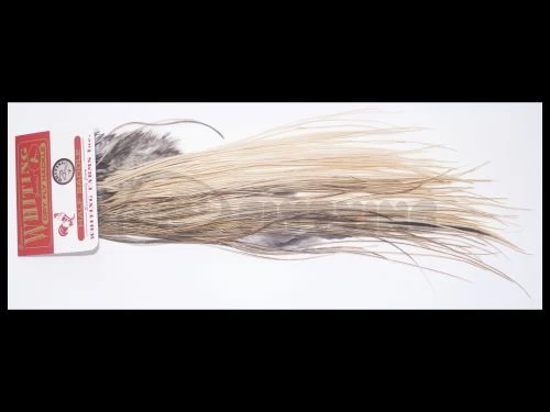 Whiting Bronze Grade Midge 1/2 Saddle - Funky Fly Tying 12 Whiting Bronze Grade Midge 1/2 Saddle - Funky Fly Tying - Image 10
