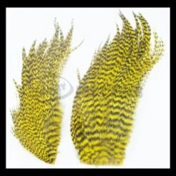 Whiting Bugger Packs - Funky Fly Tying 25 Whiting Bugger Packs - Funky Fly Tying -Fishing Accessories Store Whiting Bugger Packs 14 1 1