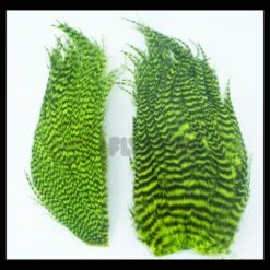 Whiting Bugger Packs - Funky Fly Tying 39 Whiting Bugger Packs - Funky Fly Tying -Fishing Accessories Store Whiting Bugger Packs 7 1 1