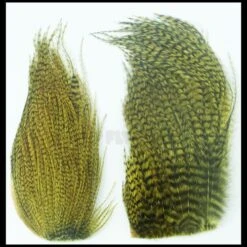 Whiting Bugger Packs - Funky Fly Tying 37 Whiting Bugger Packs - Funky Fly Tying -Fishing Accessories Store Whiting Bugger Packs 8 1 1