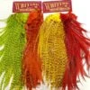 Whiting CDL Predator Pack - Funky Fly Tying 1 Whiting CDL Predator Pack - Funky Fly Tying -Fishing Accessories Store Whiting CDL Predator Pack 1
