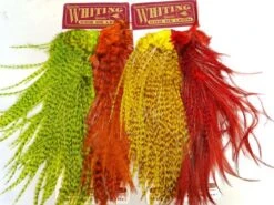 Whiting CDL Predator Pack - Funky Fly Tying