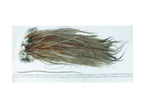 Whiting Eurohackle Saddle - Funky Fly Tying 3 Whiting Eurohackle Saddle - Funky Fly Tying