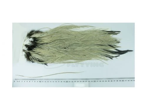 Whiting Eurohackle Saddle - Funky Fly Tying 13 Whiting Eurohackle Saddle - Funky Fly Tying - Image 11