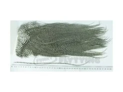 Whiting Eurohackle Saddle - Funky Fly Tying 21 Whiting Eurohackle Saddle - Funky Fly Tying -Fishing Accessories Store Whiting Eurohackle Saddle Cape Grizzle 1