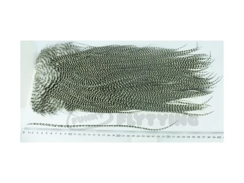 Whiting Eurohackle Saddle - Funky Fly Tying 9 Whiting Eurohackle Saddle - Funky Fly Tying - Image 7