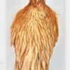 Whiting Hebert/Miner Hen Cape - Funky Fly Tying
