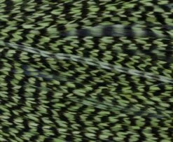 Whiting High & Dry 1/2 Saddle Cape - Funky Fly Tying -Fishing Accessories Store Whiting High Dry 1 2 Saddle Cape 5 1