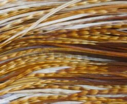 Whiting Pro Grade Midge Whole Saddle - Funky Fly Tying -Fishing Accessories Store Whiting Pro Grade MIDGE Whole Saddle Cape 3 1