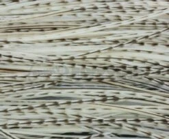 Whiting Pro Grade Midge Whole Saddle - Funky Fly Tying -Fishing Accessories Store Whiting Pro Grade MIDGE Whole Saddle Cape 4 1