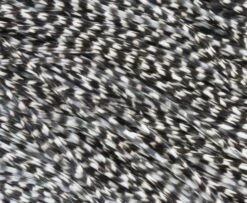 Whiting Pro Grade Midge Whole Saddle - Funky Fly Tying -Fishing Accessories Store Whiting Pro Grade MIDGE Whole Saddle Cape Grizzle 1