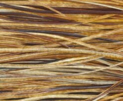 Whiting Pro Grade Midge Whole Saddle - Funky Fly Tying -Fishing Accessories Store Whiting Pro Grade MIDGE Whole Saddle Cape Medium Ginger 1