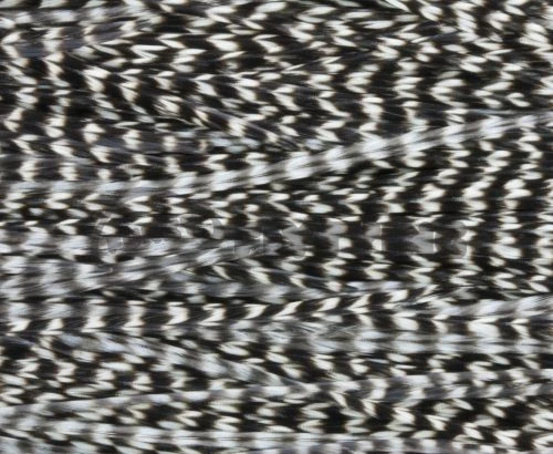 Whiting Pro Grade Saddles - Funky Fly Tying 12 Whiting Pro Grade Saddles - Funky Fly Tying - Image 10